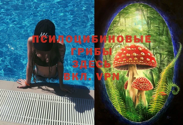дмт Абинск